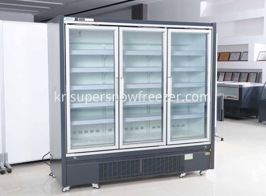 glass door freezer1